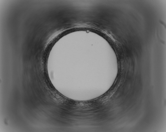 X0000096461311200802211116