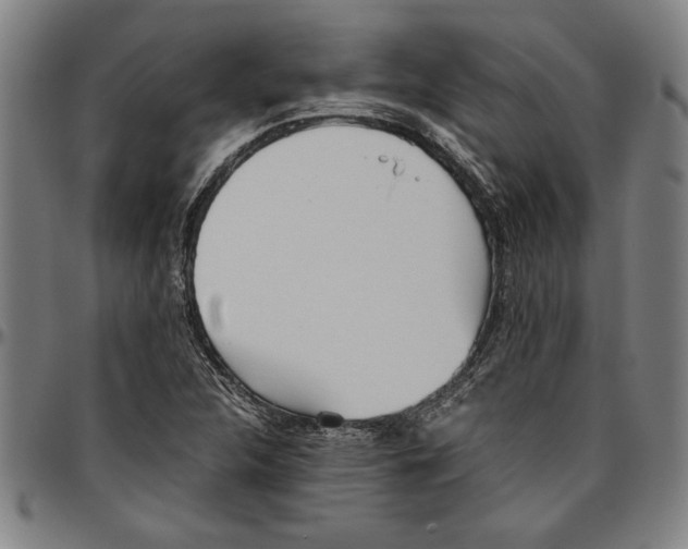 X0000096461312200802211116