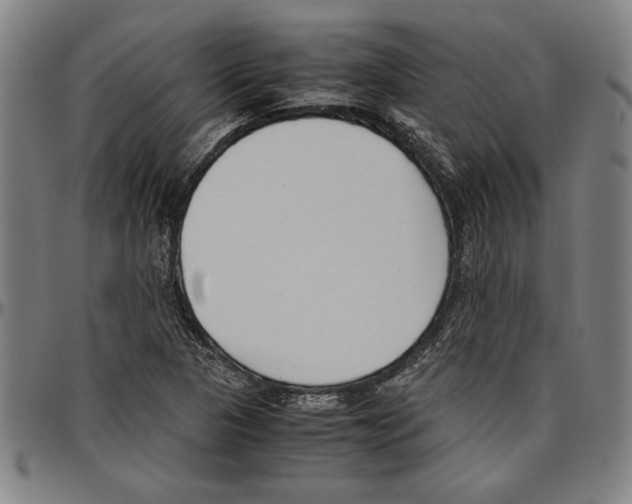 X0000096461313200802211116