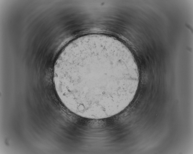 X0000096461314200802211116