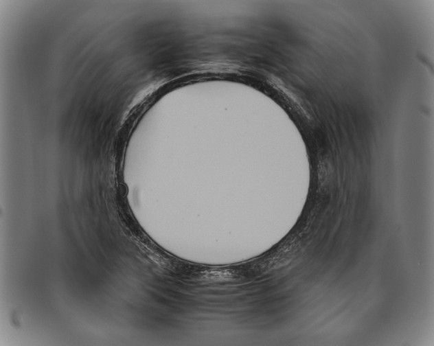 X0000096461315200802211116