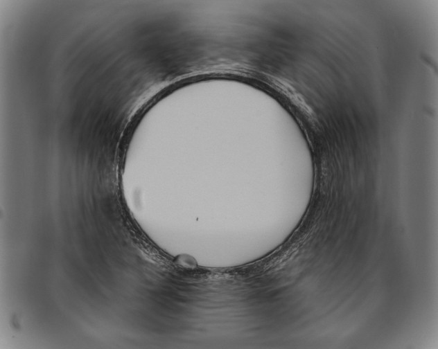 X0000096461316200802211116