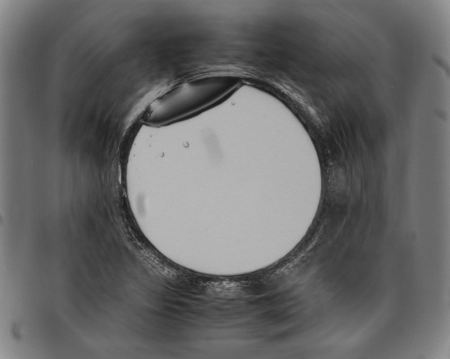 X0000096461317200802211116