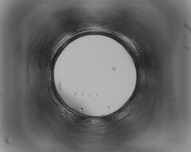 X0000096461318200802211116