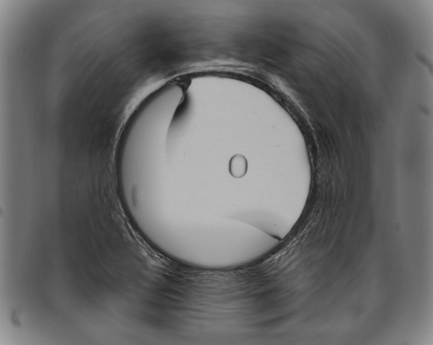 X0000096461320200802211116