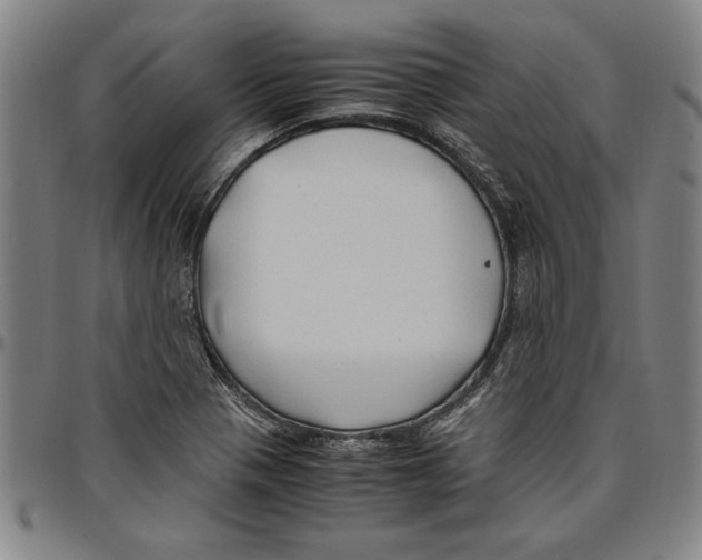 X0000096461321200802211116