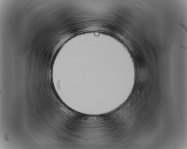 X0000096461322200802211116