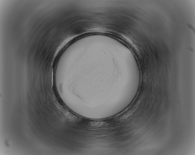 X0000096461323200802211116