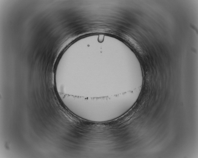 X0000096461324200802211116