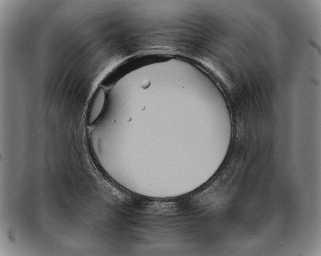 X0000096461325200802211116