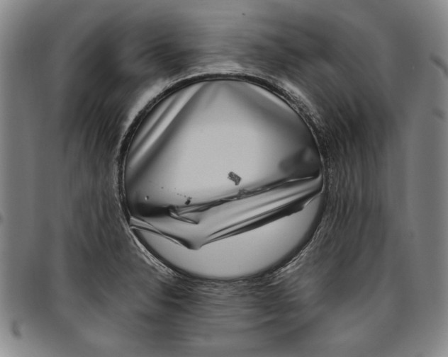 X0000096461326200802211116