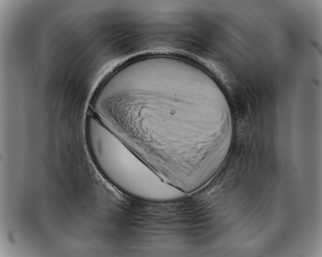 X0000096461327200802211116