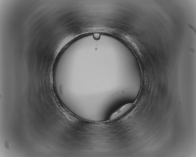 X0000096461328200802211116