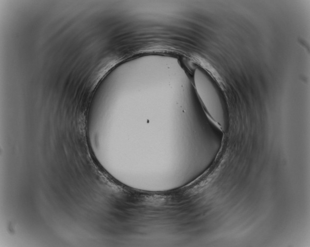 X0000096461329200802211116
