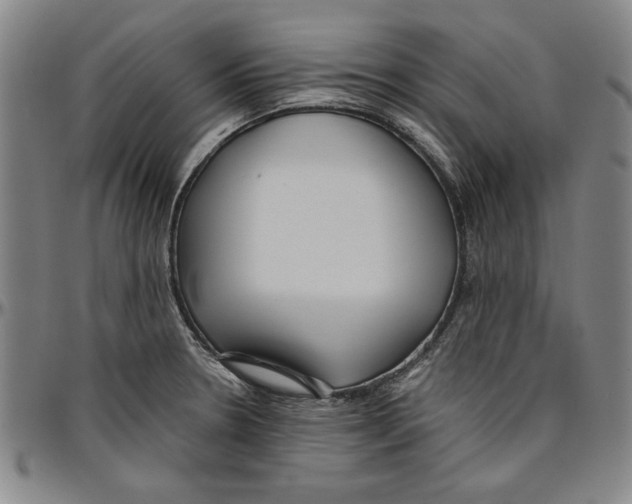 X0000096461330200802211116