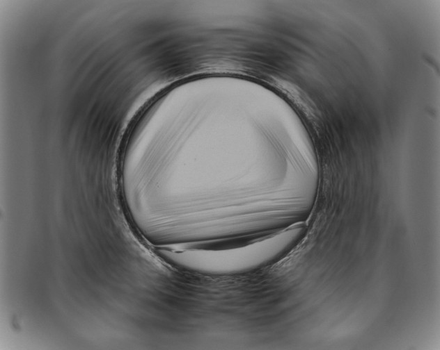X0000096461331200802211116