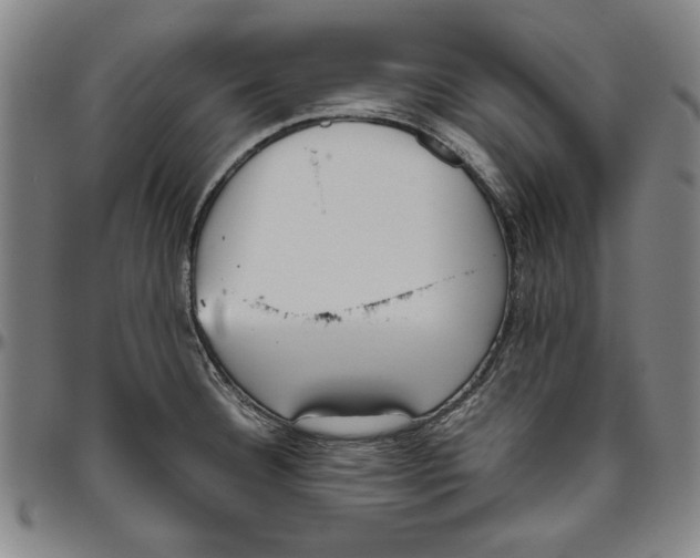 X0000096461332200802211116