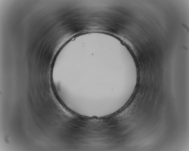 X0000096461333200802211116