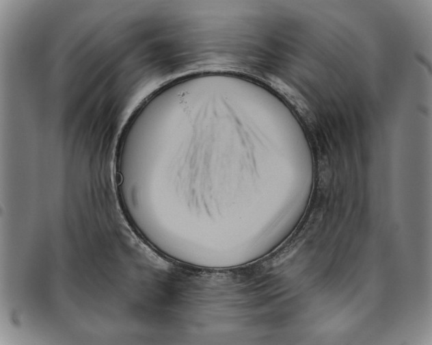 X0000096461334200802211116