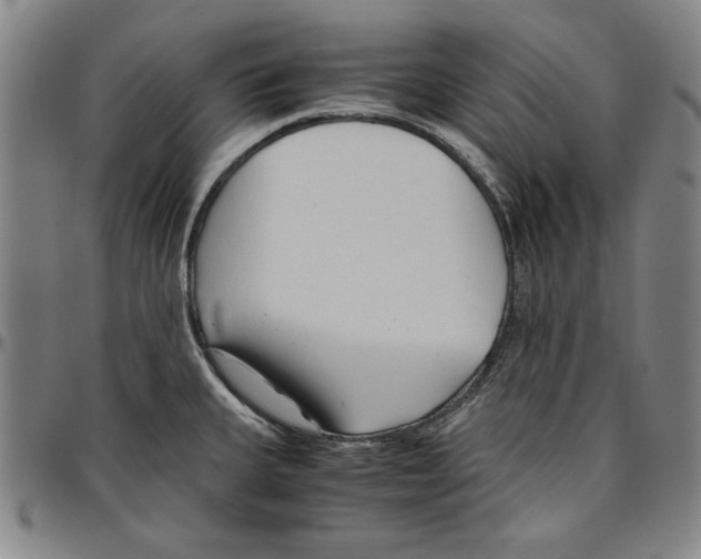 X0000096461335200802211116