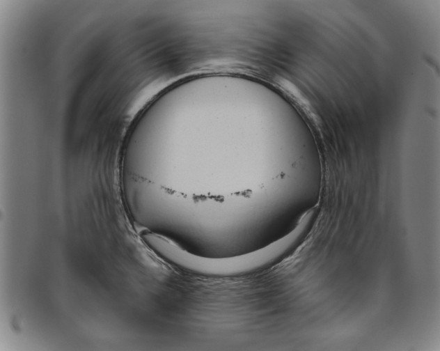 X0000096461336200802211116