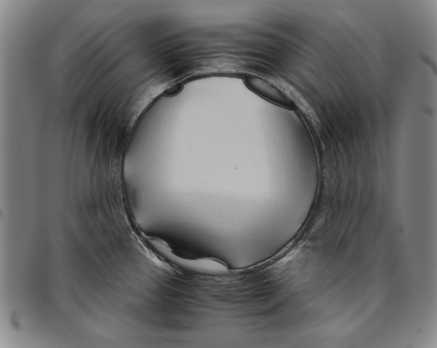 X0000096461337200802211116