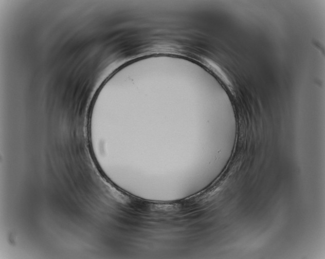 X0000096461339200802211116