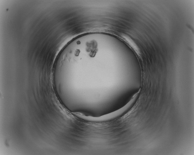 X0000096461340200802211116