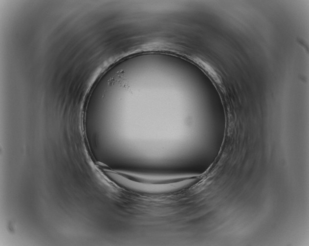 X0000096461342200802211116