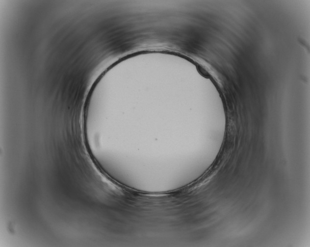X0000096461343200802211116