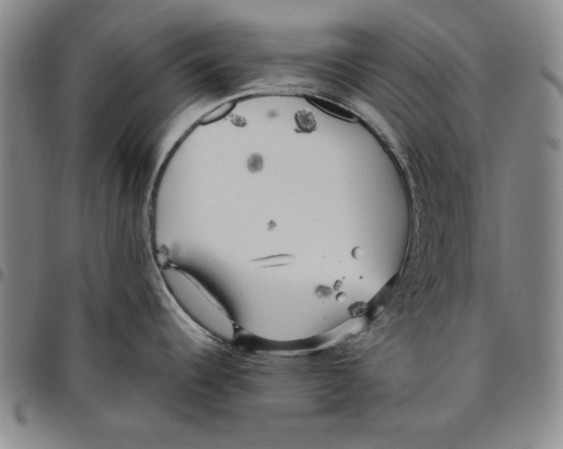 X0000096461344200802211116