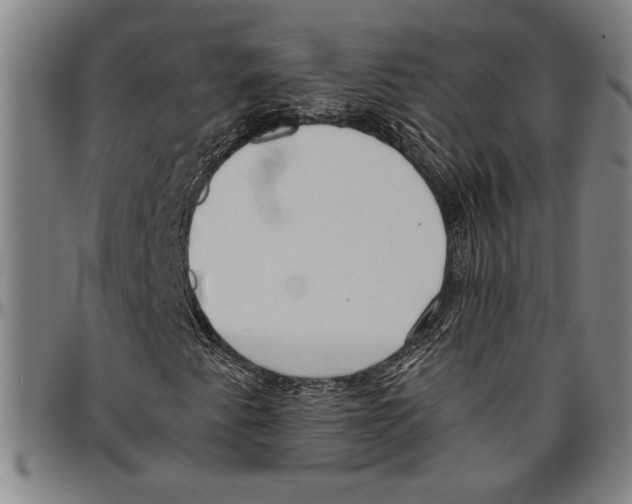 X0000096461345200802211115
