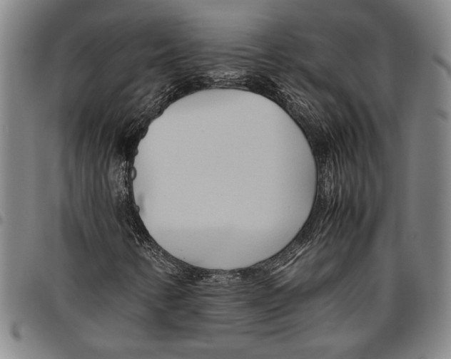 X0000096461346200802211115