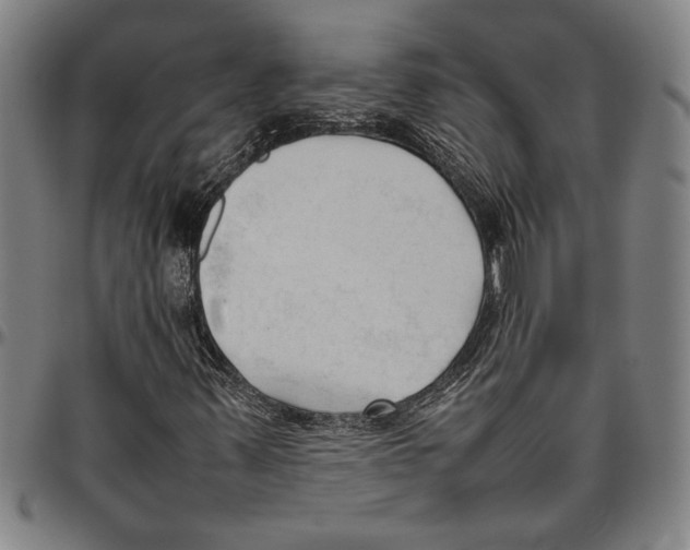 X0000096461347200802211115