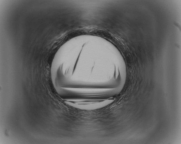 X0000096461349200802211115