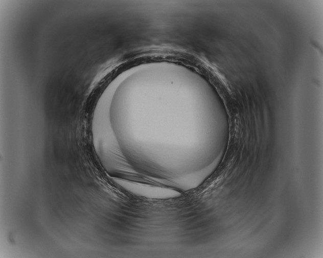 X0000096461352200802211115