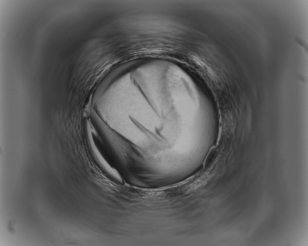 X0000096461353200802211115