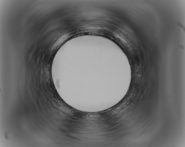 X0000096461354200802211115