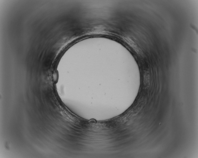 X0000096461356200802211115