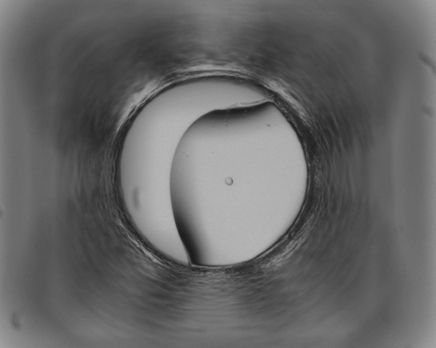 X0000096461357200802211115