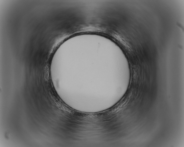 X0000096461358200802211115