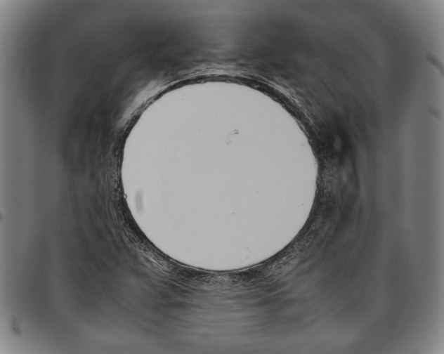 X0000096461359200802211115