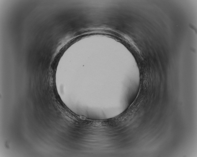 X0000096461360200802211115