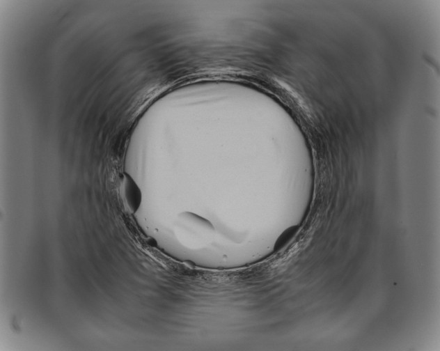 X0000096461361200802211115