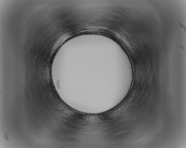X0000096461362200802211115