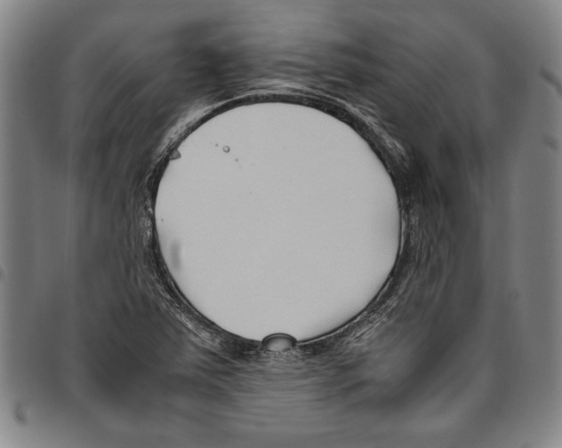 X0000096461363200802211115