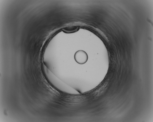 X0000096461364200802211115