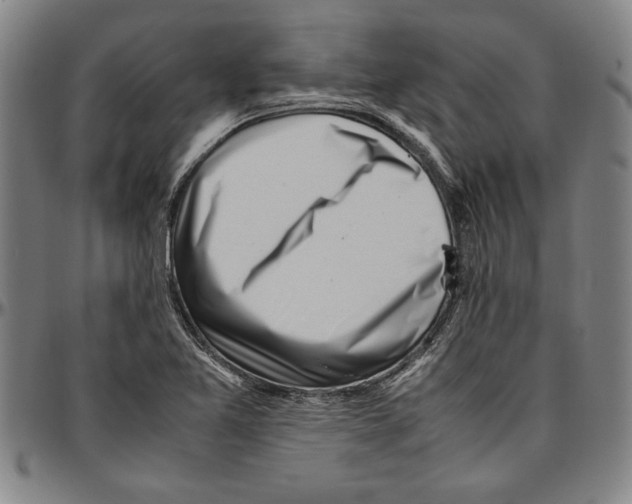 X0000096461365200802211115