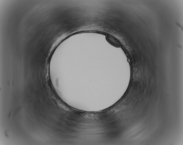 X0000096461366200802211115