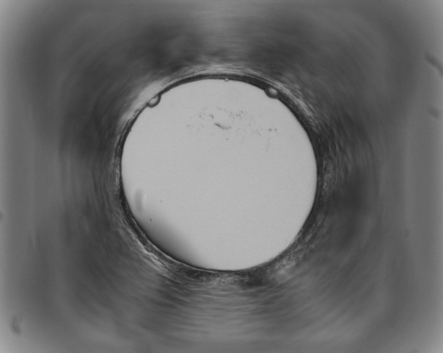 X0000096461367200802211115